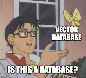 vector database meme